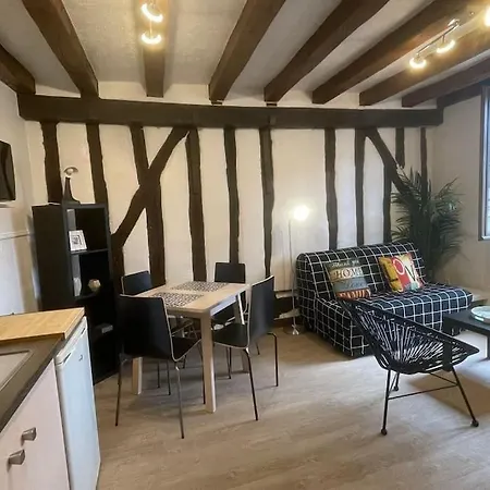 Medieval Flat In Heart Of * Tours